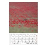 Falinaptár CSG 210x320mm álló Négy évszak 2026.