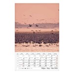 Falinaptár CSG 210x320mm álló Vizeink világa 2026.