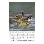 Falinaptár CSG 210x320mm álló Vizeink világa 2026.