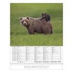 Falinaptár CSG 300x340mm álló Alkotó természet 2026.