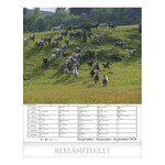 Falinaptár CSG 300x340mm álló Hazai tájakon 2026.