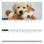 Falinaptár mágneses LIZZY CARD 220x220mm 2 hetes Kutyák 2026. Falinaptár mágneses LIZZY CARD 220x220mm 2 hetes Kutyák 2026.