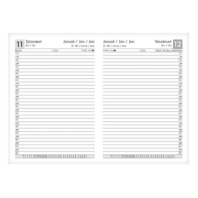 Határidőnapló ALISCA Rebel varrott A/5 napi fehér lapos barna 2026.