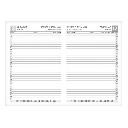 Határidőnapló ALISCA Rebel varrott A/5 napi fehér lapos barna 2026.