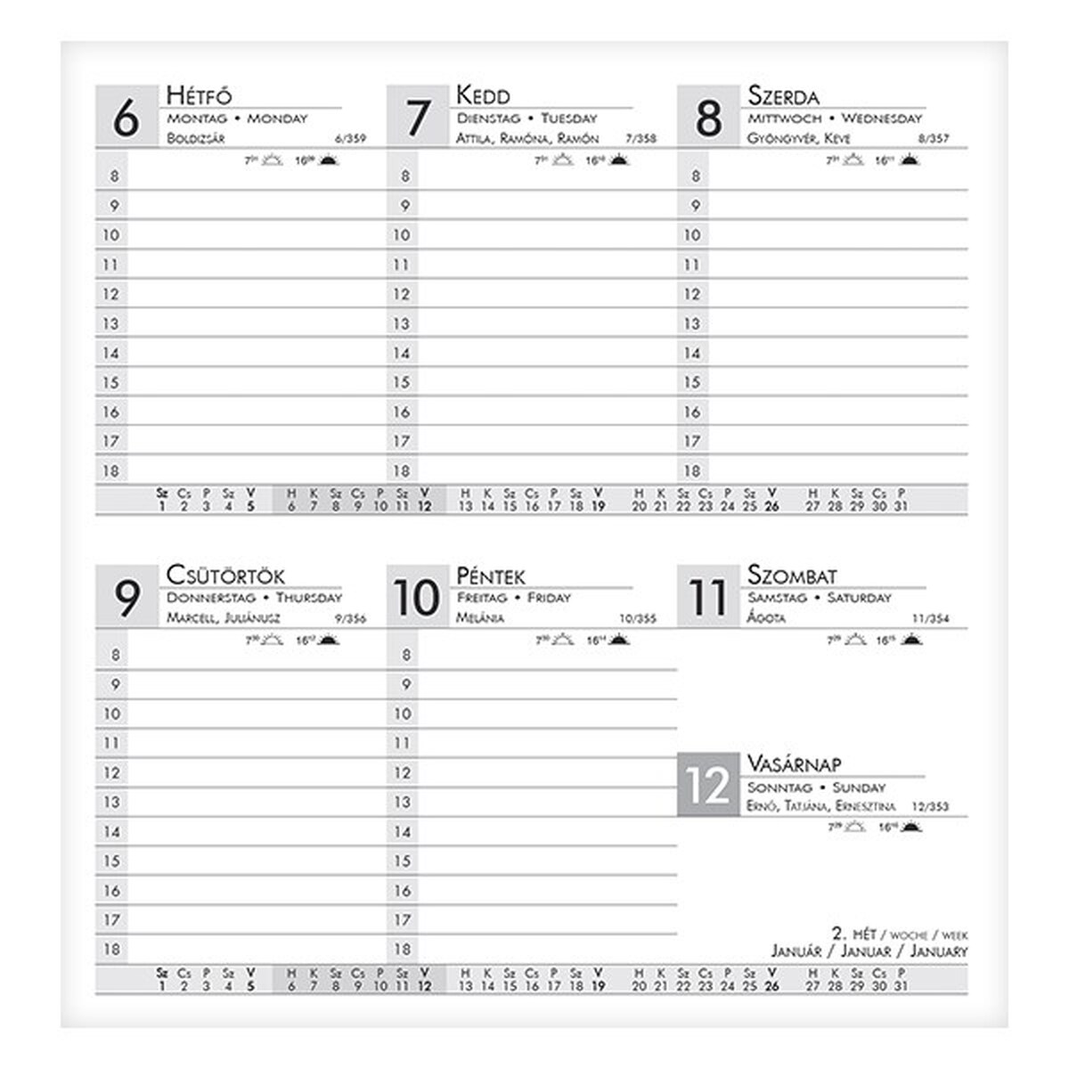 Zsebnaptár ALISCA Rebel varrott fekvő fehér lapos kék 2026.