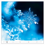 Aqua, képes falinaptár 2026