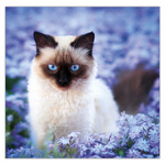 Cats LP, képes lemeznaptár 2026