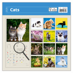 Cats LP, képes lemeznaptár 2026