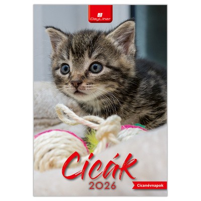 Cicák B4, képes falinaptár 2026