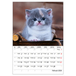 Cicák B4, képes falinaptár 2026