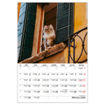 Cicák B4, képes falinaptár 2026