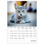 Cicák B4, képes falinaptár 2026