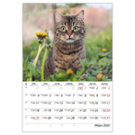 Cicák B4, képes falinaptár 2026