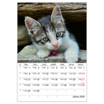 Cicák B4, képes falinaptár 2026