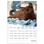 Cicák B4, képes falinaptár 2026