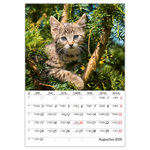 Cicák B4, képes falinaptár 2026