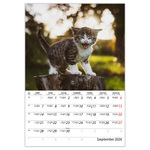 Cicák B4, képes falinaptár 2026