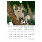 Cicák B4, képes falinaptár 2026