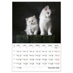 Cicák B4, képes falinaptár 2026