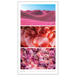 Colours, képes falinaptár 2026