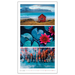 Colours, képes falinaptár 2026