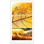 Colours, képes falinaptár 2026