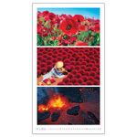 Colours, képes falinaptár 2026