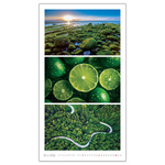 Colours, képes falinaptár 2026