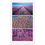 Colours, képes falinaptár 2026