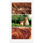 Colours, képes falinaptár 2026