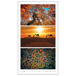 Colours, képes falinaptár 2026