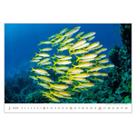 Deep Blue, képes falinaptár 2026