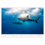 Deep Blue, képes falinaptár 2026