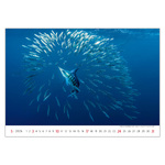 Deep Blue, képes falinaptár 2026