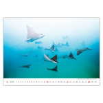 Deep Blue, képes falinaptár 2026