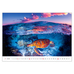 Deep Blue, képes falinaptár 2026