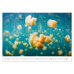 Deep Blue, képes falinaptár 2026