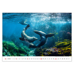 Deep Blue, képes falinaptár 2026