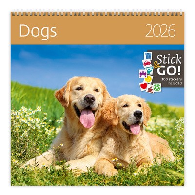 Dogs LP, képes lemeznaptár 2026