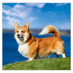 Dogs LP, képes lemeznaptár 2026