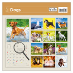 Dogs LP, képes lemeznaptár 2026