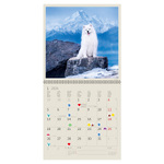 Dogs LP, képes lemeznaptár 2026