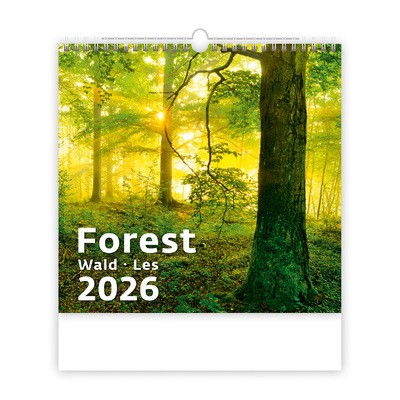 Forest, képes falinaptár 2026