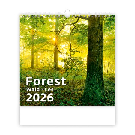 Forest, képes falinaptár 2026