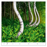 Forest, képes falinaptár 2026