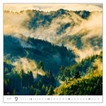 Forest, képes falinaptár 2026