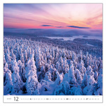 Forest, képes falinaptár 2026