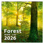 Forest, képes falinaptár 2026
