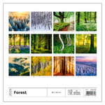 Forest, képes falinaptár 2026