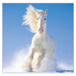 Horses LP, képes lemeznaptár 2026